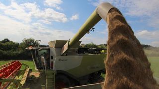 Les céréales et les oléagineux tirent les prix à la production Les céréales et les oléagineux tirent les prix à la production