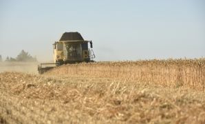 Selon le dernier rapport du ministère américain de l'Agriculture, la production mondiale de blé 2022 s'établirait à 781,7 millions de tonnes. Selon le dernier rapport du ministère américain de l'Agriculture, la production mondiale de blé 2022 s'établirait à 781,7 millions de tonnes.