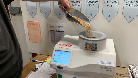 L'enquête réalisée par FranceAgriMer et Arvalis indique que les blés bio du cru 2022 présentent en moyenne une teneur en protéine de 11,1%, et un PS de 77,3 kg/hl. L'enquête réalisée par FranceAgriMer et Arvalis indique que les blés bio du cru 2022 présentent en moyenne une teneur en protéine de 11,1%, et un PS de 77,3 kg/hl.