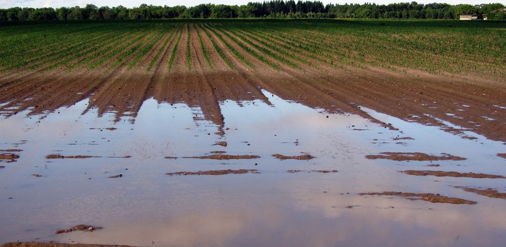 Des communes de 39 départements sont reconnues en état de catastrophe naturelle pour des inondations survenues en 2021 et 2022. (Photo d'illustration)