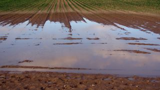 Des communes de 39 départements sont reconnues en état de catastrophe naturelle pour des inondations survenues en 2021 et 2022. (Photo d'illustration) Des communes de 39 départements sont reconnues en état de catastrophe naturelle pour des inondations survenues en 2021 et 2022. (Photo d'illustration)