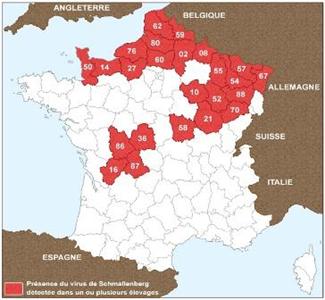 carte virus de schmallenberg