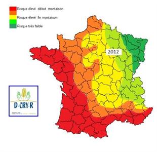 Potentiel de risque de rouille au 31 janvier 2012.