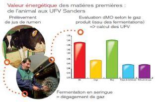 glucides fermentiscibles sanders