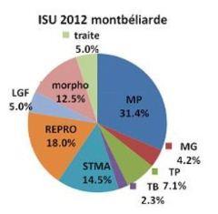 Isu Montbéliarde