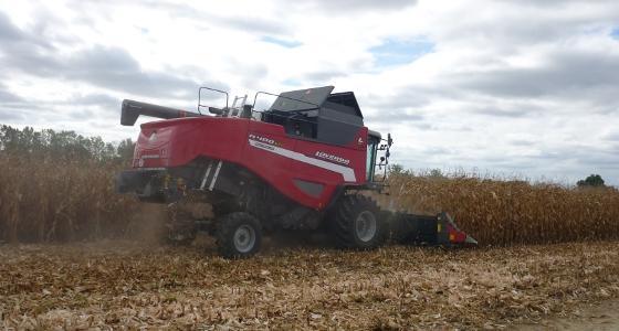 C'est la spéculation sur ce que l'Usda allait annoncer et ce qu'elle a finalement annoncé jeudi qui a pesé sur les prix du maïs