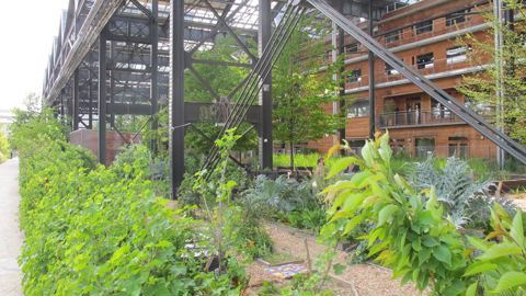 LeLien horticoleÀ Paris, la halle Pajol, ancien bâtiment de la SNCF, a été réhabilité et un jardin y a été créé.