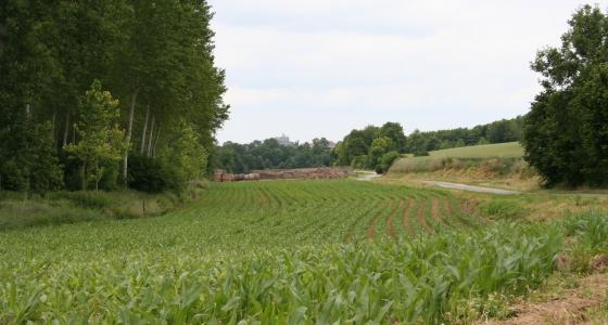 Euralis Semences et Kws développent leur gamme maïs en 2012.