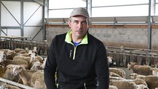 Une bergerie à part pour les mises bas Une bergerie à part pour les mises bas