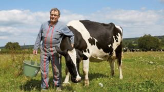 Adapter la conduite des prim’holsteins pour maximiser les taux Adapter la conduite des prim’holsteins pour maximiser les taux