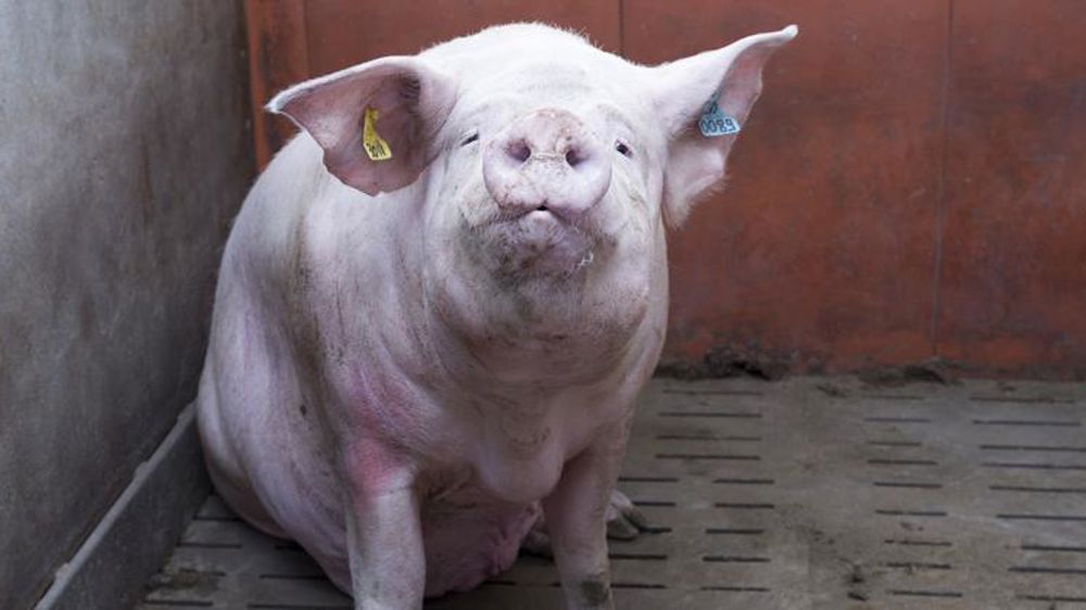 Les exportations européennes au sommet en 2022