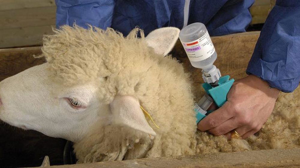 La vaccination n’est plus obligatoire en Corse