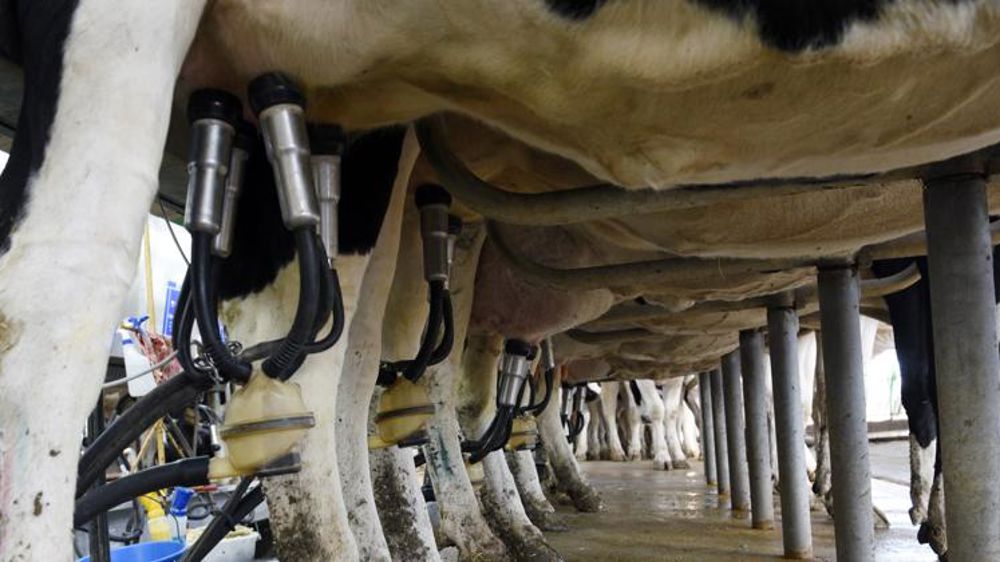 Sodiaal et Système U signent pour 380 €/1 000 litres