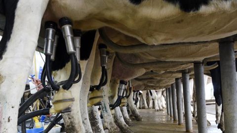 Sodiaal et Système U signent pour 380 €/1 000 litres Sodiaal et Système U signent pour 380 €/1 000 litres