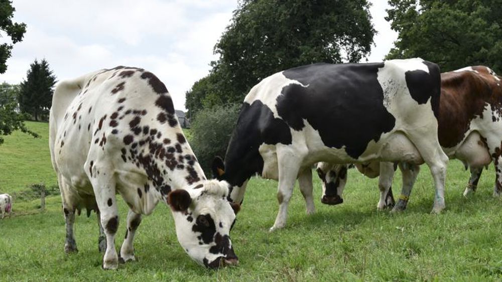 Le think-tank Agridées prône une nouvelle approche