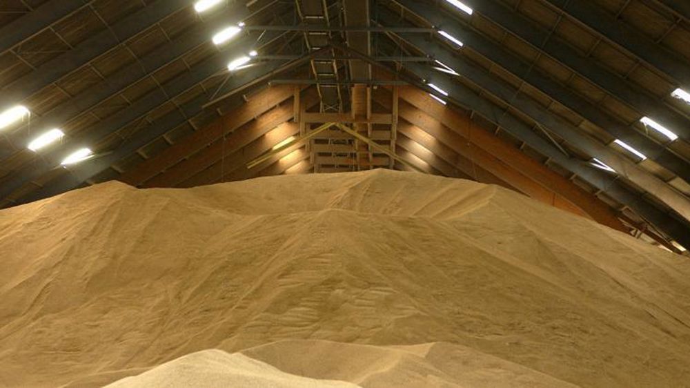 L’orge dévisse, le blé fait le dos rond