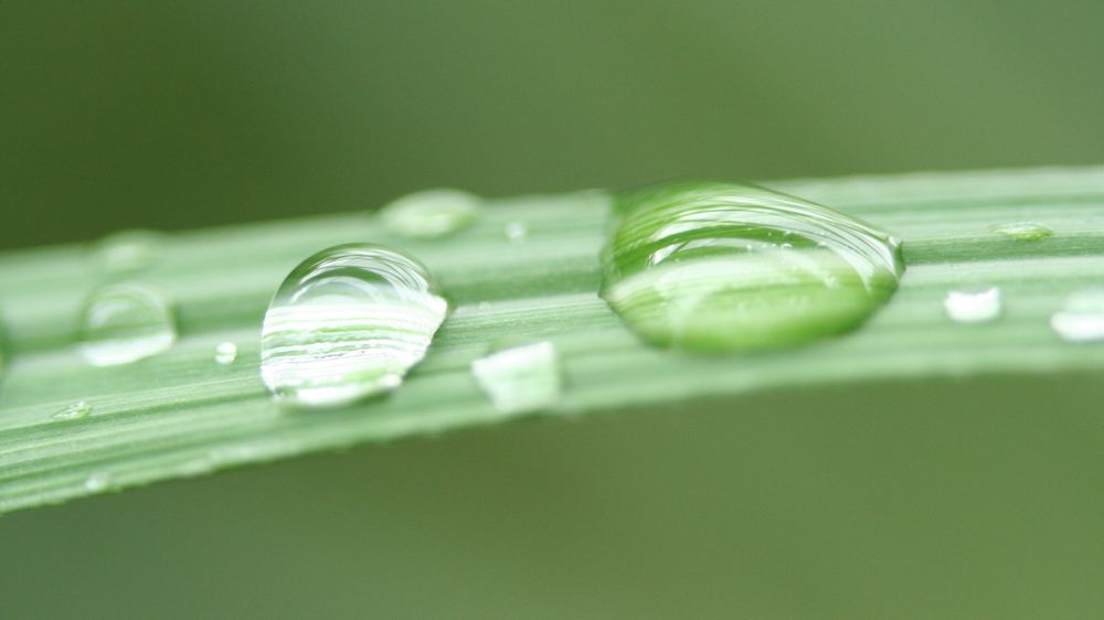 En 5 ans, les usages ont progressé de 7 %