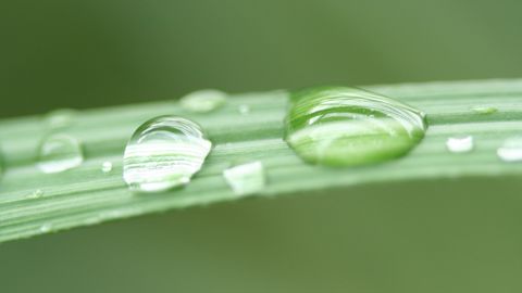 En 5 ans, les usages ont progressé de 7 % En 5 ans, les usages ont progressé de 7 %