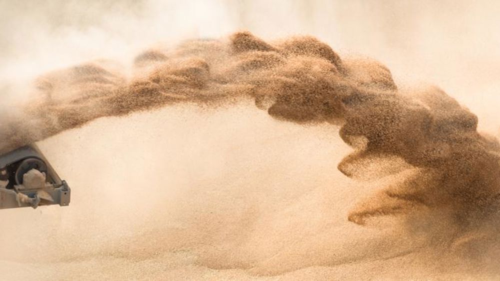 La Chine prête à acheter jusqu’à 7 Mt de blé américain