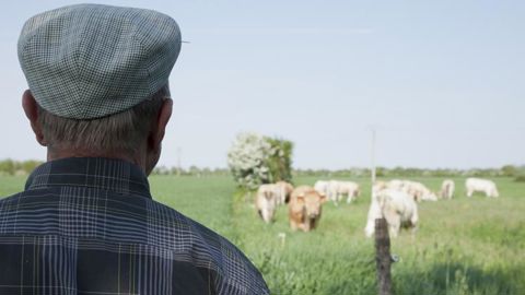Emmanuel Macron doit s’occuper des retraités agricoles Emmanuel Macron doit s’occuper des retraités agricoles