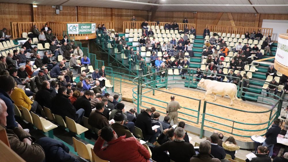 « Les problèmes de vêlage sont derrière nous »