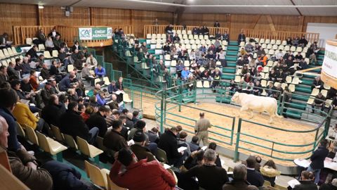 « Les problèmes de vêlage sont derrière nous » « Les problèmes de vêlage sont derrière nous »