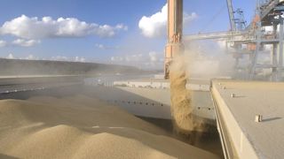 Les prix russes redonnent de l’air au blé français Les prix russes redonnent de l’air au blé français