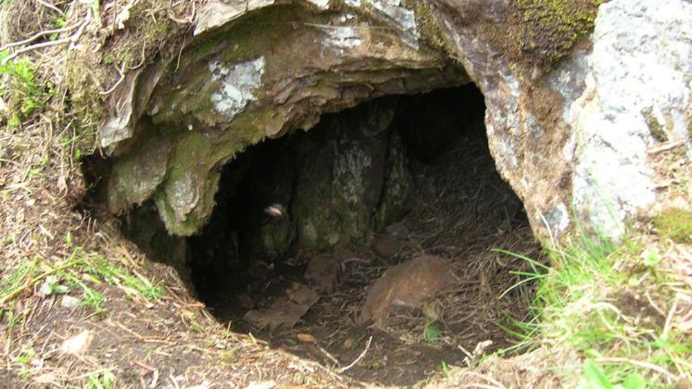 Claverina et Sorita ont trouvé une tanière