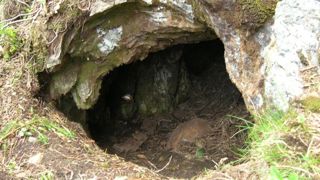 Claverina et Sorita ont trouvé une tanière Claverina et Sorita ont trouvé une tanière
