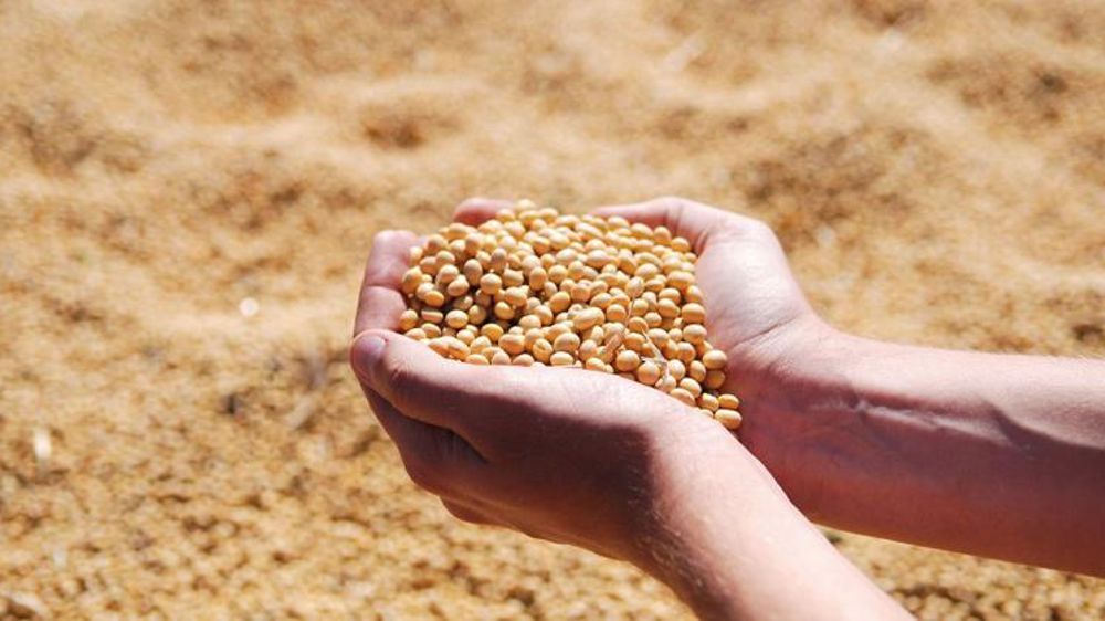 Bruxelles ouvre la porte au soja américain