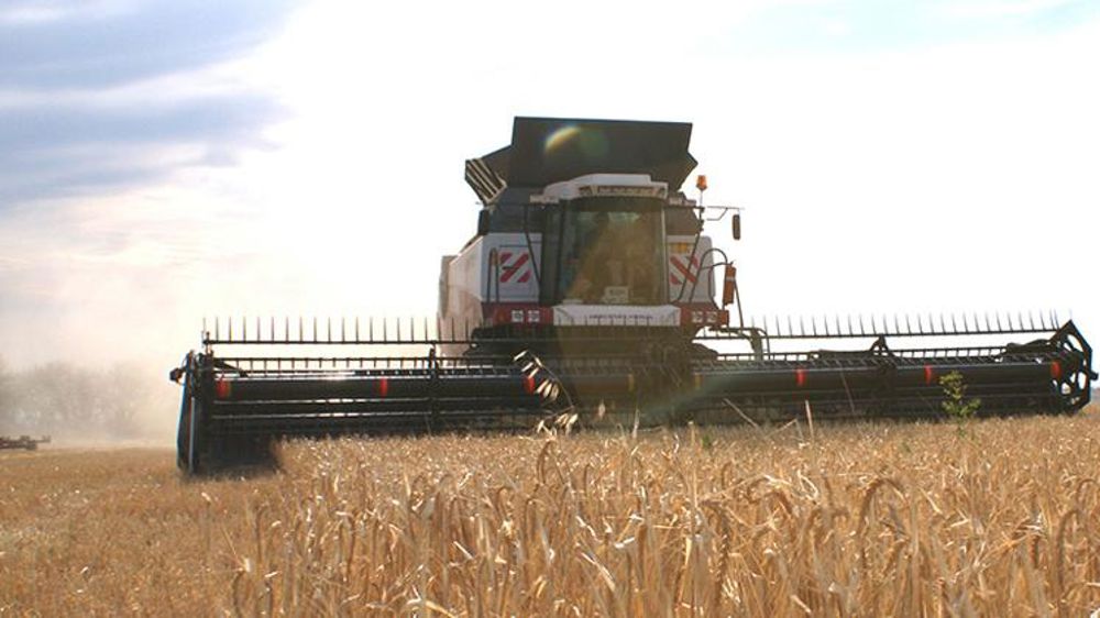 Les céréaliers russes optimistes pour 2019