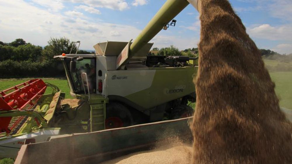 Encore plus de blé en 2019