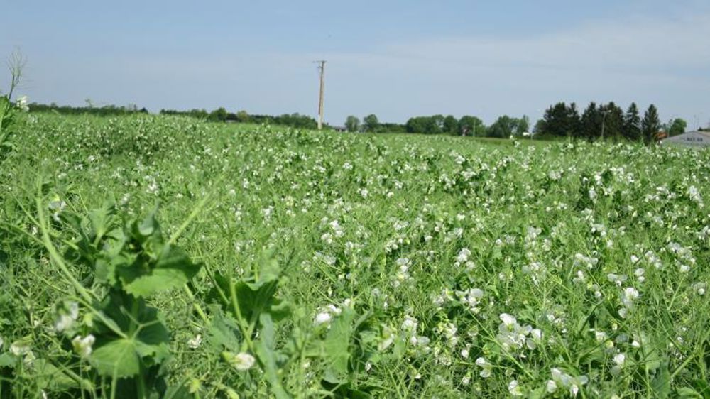 Lancement de la concertation nationale