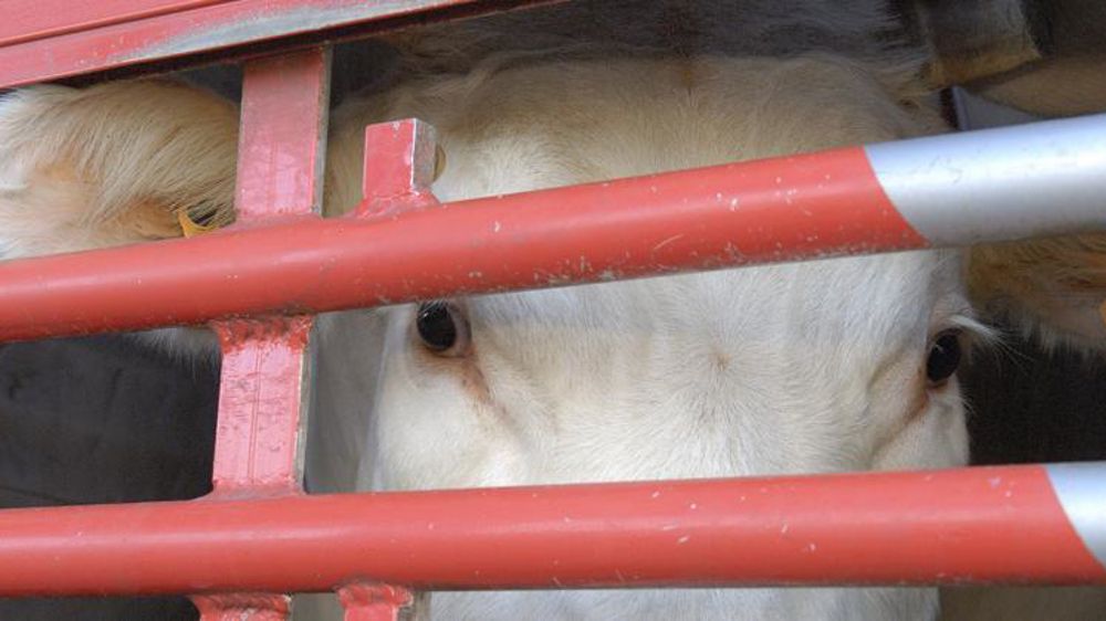 Les eurodéputés pour un respect strict et harmonisé des règles