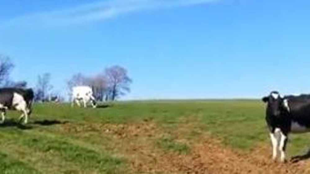 Un avant-goût de printemps