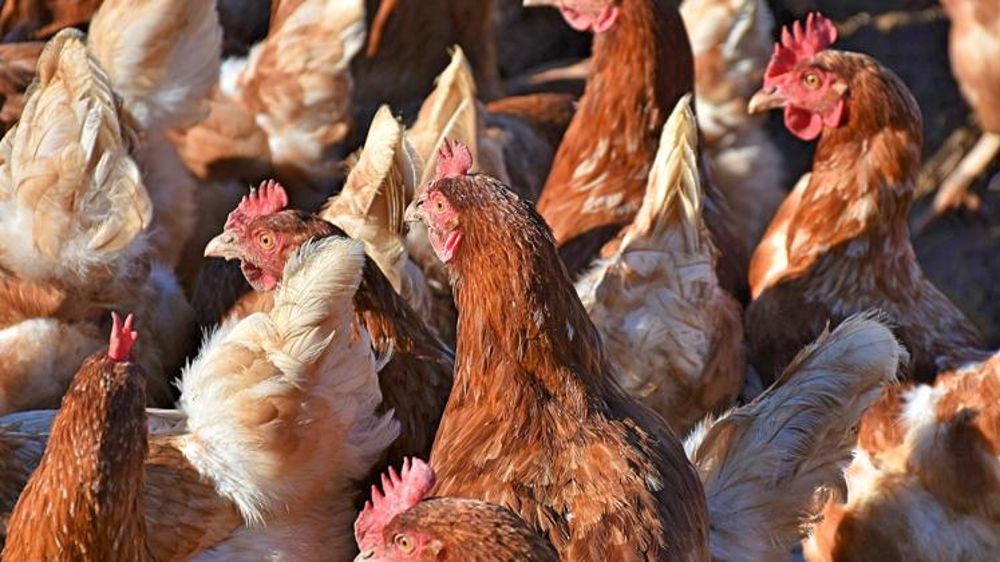 « Reprendre des parts de marché aux importations »