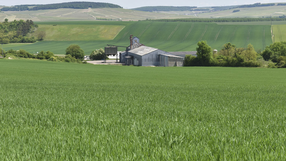 « Replacer l’agriculture au centre des décisions »