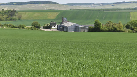 « Replacer l’agriculture au centre des décisions » « Replacer l’agriculture au centre des décisions »