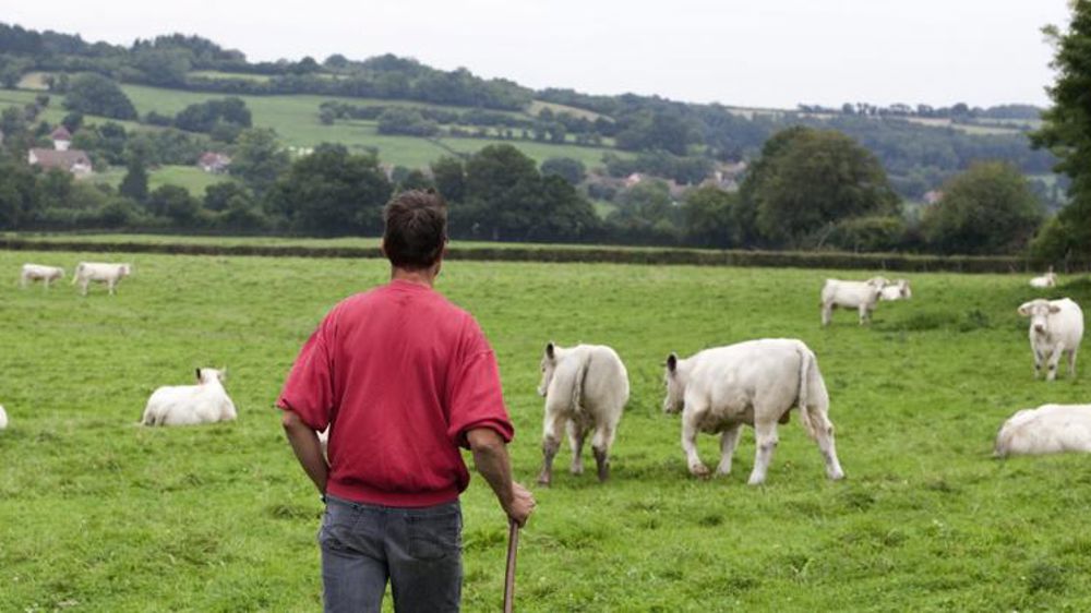 Un agriculteur sur trois en risque de burn-out
