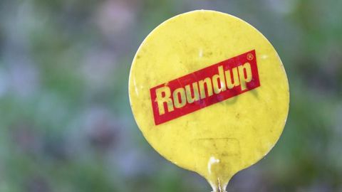 Un nouveau procès contre le Roundup aux États-Unis Un nouveau procès contre le Roundup aux États-Unis