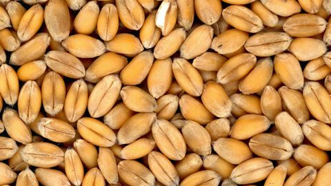 Une cotisation « trop opaque » Une cotisation « trop opaque »
