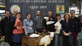 Les éleveurs caprins pour la première fois récompensés Les éleveurs caprins pour la première fois récompensés
