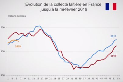 D’après les sondages hebdomadaires de collecte FranceAgriMer