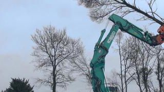 Les ressources cachées des haies (vidéo) Les ressources cachées des haies (vidéo)