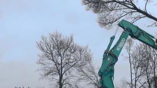 Les ressources cachées des haies (vidéo) Les ressources cachées des haies (vidéo)
