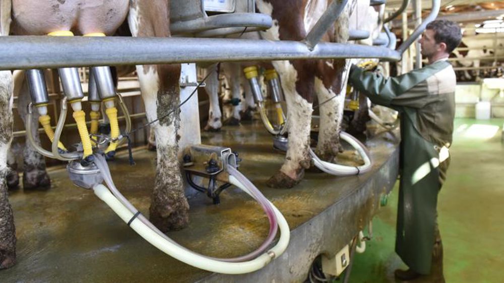 Le prix du lait en recul dans 18 États membres