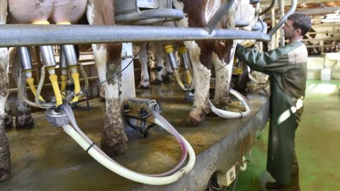 Le prix du lait en recul dans 18 États membres Le prix du lait en recul dans 18 États membres