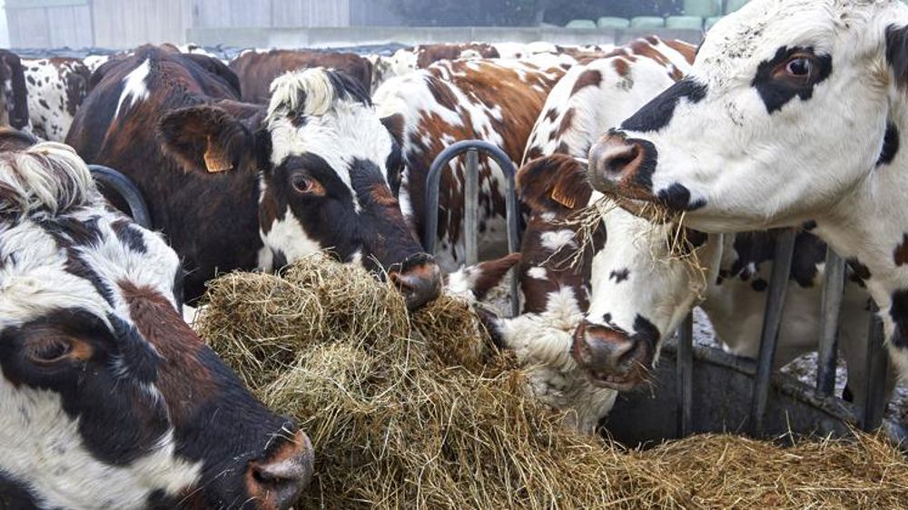 Pas de coup de rabot sur les aides à la conversion ?