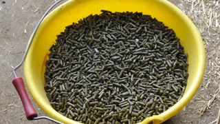 Les fabrications pour ruminants s’envolent Les fabrications pour ruminants s’envolent
