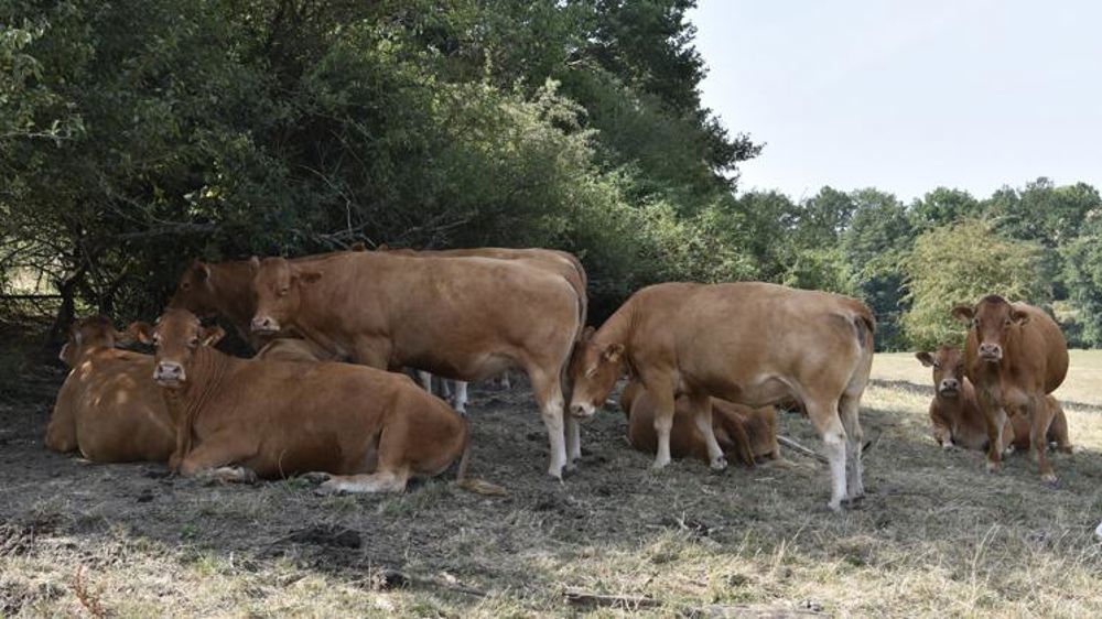 S’adapter au changement climatique